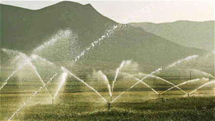 تمرکز جهاد کشاورزی زنجان بر آبیاری نوین و ترویج محصولات جایگزین