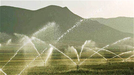 تمرکز جهاد کشاورزی زنجان بر آبیاری نوین و ترویج محصولات جایگزین