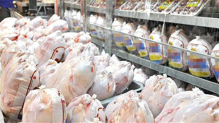  ظرفیت تولید مرغ آذربایجان‌غربی دو برابر نیاز استان است 