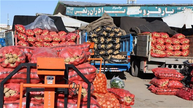  توزیع ۳۰ تن سیب‌زمینی تنظیم بازار در آذربایجان غربی