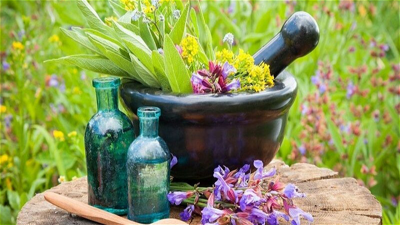 افق روشن کشت گياهان دارويي در زنجان