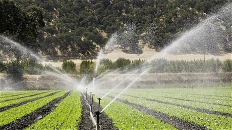  توسعه سامانه‌های نوین آبیاری در سطح ۴۲۰ هکتار از اراضی کشاورزی زنجان