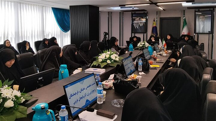 حل مسائل حوزه زنان نیازمند هم‌افزایی دستگاه‌هاست 